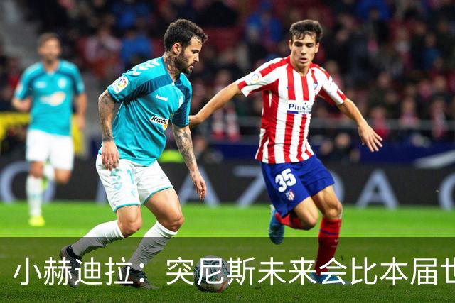 小赫迪拉：突尼斯未来会比本届世界杯更好 批评？我已经付出全力